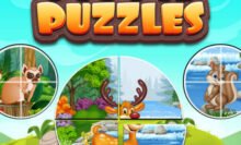 Pic Pie Puzzles