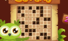 Sudoku 4 in 1