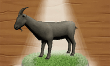 Angry Goat Simulator 3D