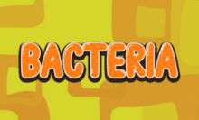 Bacteria