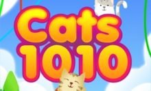 Gatos 1010