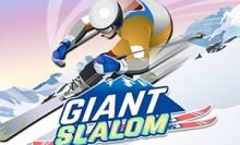 Slalom gigante