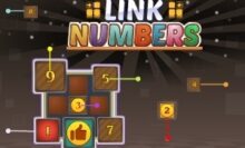 Link Numbers